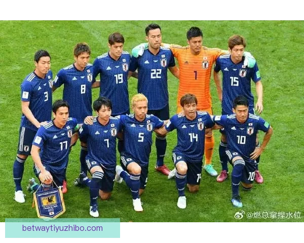 2026世界杯48强出炉亚洲九队参赛书写历史新篇章